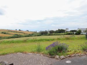 a field with purple flowers on the side of a road at The Grain Store in Abersoch