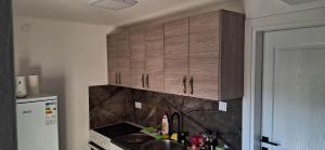 Kuchyň nebo kuchyňský kout v ubytování Apartments Bajceta