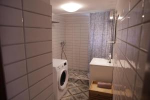 a bathroom with a washing machine and a sink at Kékmacska Vendégház Nagybörzsöny in Nagybörzsöny +25 photos