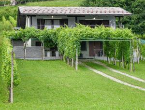 KlanjecPanorama的有一排葡萄藤的房子