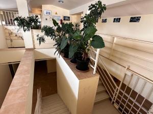 Fotografie z fotogalerie ubytování Kobuleti Rooftop Hotel v destinaci Kobuleti
