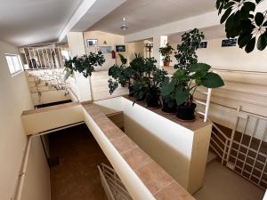 Fotografie z fotogalerie ubytování Kobuleti Rooftop Hotel v destinaci Kobuleti