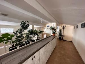 Fotografie z fotogalerie ubytování Kobuleti Rooftop Hotel v destinaci Kobuleti
