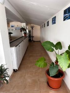 Fotografie z fotogalerie ubytování Kobuleti Rooftop Hotel v destinaci Kobuleti