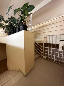 Fotografie z fotogalerie ubytování Kobuleti Rooftop Hotel v destinaci Kobuleti