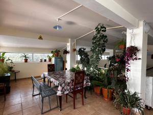 Fotografie z fotogalerie ubytování Kobuleti Rooftop Hotel v destinaci Kobuleti