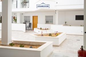Una oficina con paredes blancas y mesas blancas con plantas. en Alcoba 17, en Sanlúcar de Barrameda