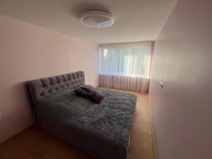 una camera da letto con un letto e una finestra di Poilsis Drevernoje a Dreverna