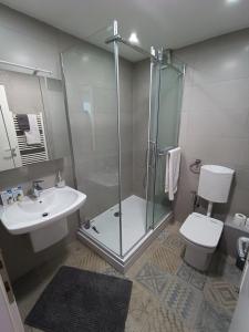 a bathroom with a shower and a toilet and a sink at Apartman Slatina in Tuzla