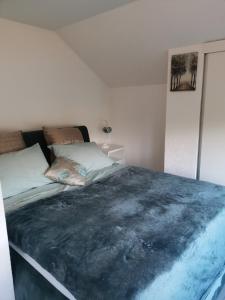 a bedroom with a bed with a blue blanket on it at Villa Forest Sky, Sarajevo, Ilijaš in Ilijaš
