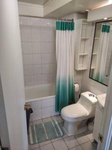a bathroom with a toilet and a sink and a shower at Impecable dpto a 2 cuadras de la playa in Viña del Mar