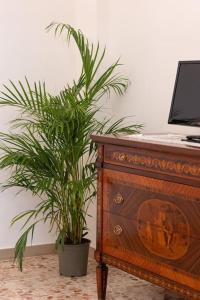 a potted plant sitting next to a wooden dresser at Casa EleMar in Barletta +27 photos