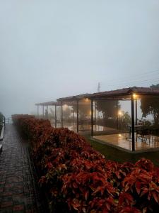 Fotografie z fotogalerie ubytování Vayu Resort - Kas Pathar v destinaci Kanera