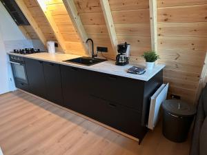 Köök või kööginurk majutusasutuses E d e l h e r t - Luxe Alpenhuis in prachtig Karinthië