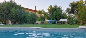 a pool with two chairs and a table next to a house at Bed & Breakfast Il Rosmarino in Bosa