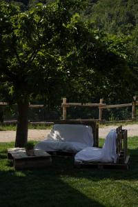 two beds sitting in the grass under a tree at StarsBox a Casa Colēt in Frabosa Sottana