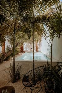 奥尔沃克斯岛Apartments & Suites MADRE Holbox Self-Check IN的庭院内一座游泳池,两棵棕榈树