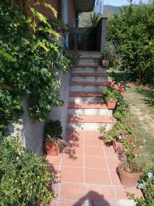 Zahrada ubytování Casa Virgilio