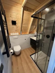 Koupelna v ubytování E d e l h e r t - Luxe Alpenhuis in prachtig Karinthië