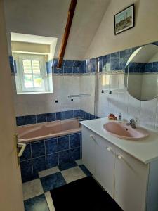 Koupelna v ubytování gîte en campagne Lamégritnière