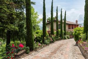 Gallery image of La Buca in Castello di Serravalle