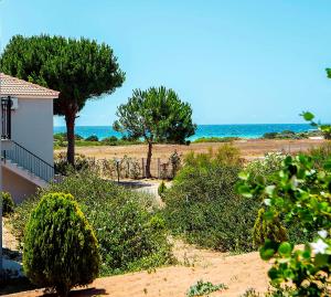 a house with trees and the ocean in the background at Romanos Beach Villas in Romanu