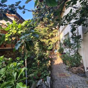 a garden path with plants and a building at Mansarda boema, gradina de basm in Bucharest