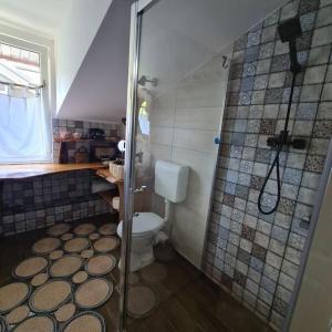 a bathroom with a shower and a toilet at Mansarda boema, gradina de basm in Bucharest +22 photos