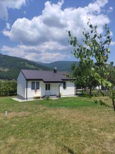 a white house with a large yard at Kosta's White House in Plav +25 photos