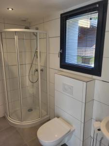 a bathroom with a shower and a toilet and a sink at Studio Saint Antoine Les Houches in Les Houches