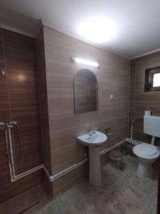 a bathroom with a sink and a toilet at Casa Vânătorilor in Arieşeni