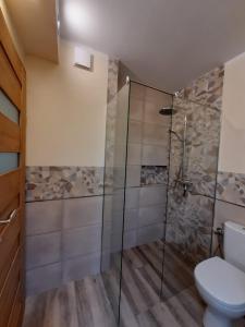 a bathroom with a shower and a toilet at Dom Geografów in Swornegacie  +36 photos