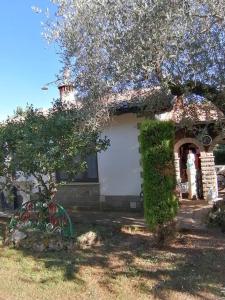 Κήπος έξω από το La Casetta di Elena