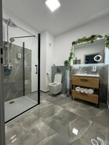 une salle de bains avec douche, toilettes et lavabo dans l'établissement Apartament Denisa Baile Felix, à Cordău