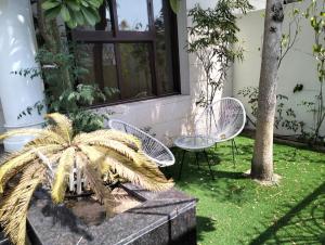 un patio con 2 sillas y una palmera en Khaliq Basera, en Dubái 4 fotos más