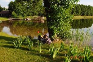 una persona sentada en una silla junto a un lago en Sigito sodyba, en Vilkiautinis