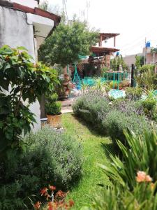 Zahrada ubytování MARGARITA Hotel