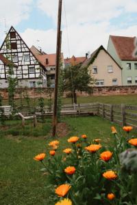 a field of orange flowers in front of a fence at Bayerischer Hof Spalt in Spalt