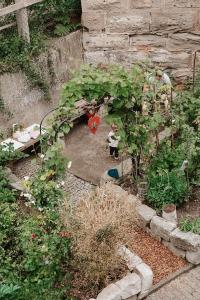 a garden with a small garden with a plant at Bayerischer Hof Spalt in Spalt