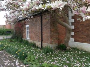 A garden outside Unique Barn in The Vale of Evesham 