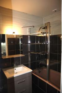 un baño con lavabo y ducha en 201, Les Ambassadeurs, en La Bourboule