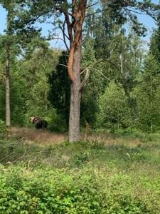 Fotografie z fotogalerie ubytování Lill-Stugan på Store Hage v destinaci Kareby