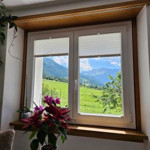 Γενική θέα στο βουνό ή θέα στο βουνό από  αυτό το διαμέρισμα