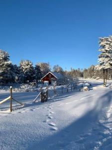 Fotografie z fotogalerie ubytování Lill-Stugan på Store Hage v destinaci Kareby