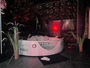 Fotografia z galérie ubytovania Suite Jeux d’Amour Jacuzzi / Love Room v destinácii Saint Die