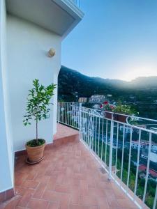 Nespecifikovaný výhled na hory nebo výhled na hory při pohledu z bed and breakfast