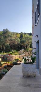 Сад в Apartment Desanti 4 Valun