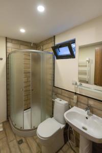ein Badezimmer mit Dusche, Toilette und Waschbecken in der Unterkunft Kazbegi Cottages in Kazbegi