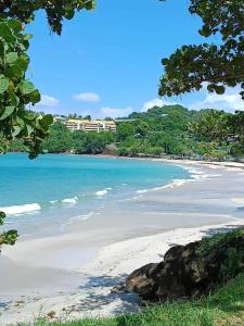una vista di una spiaggia con l'oceano di la tartane a La Trinité