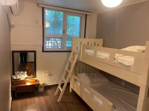 丽水市Grim Garden Guesthouse的一间卧室设有两张双层床和梯子